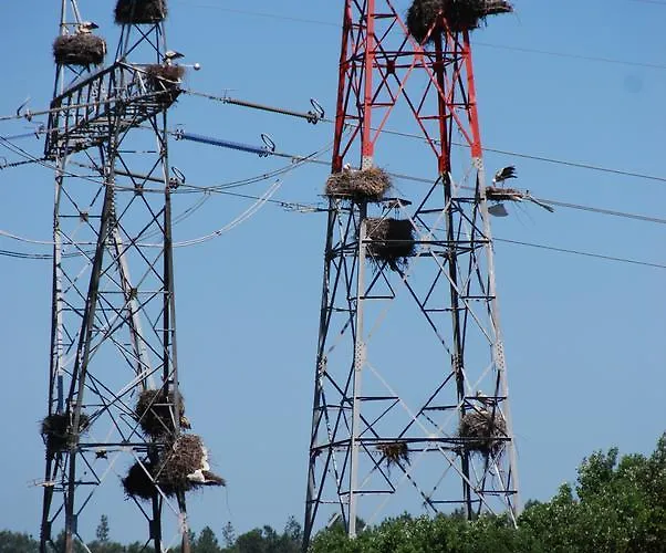 Quinta Da Torre - Casas De Campo B&B 알렌쿠어